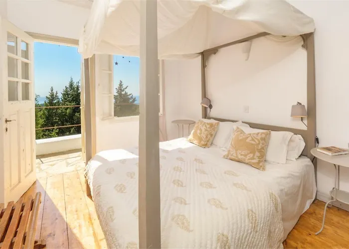 Pelagia * Arvanitakeika